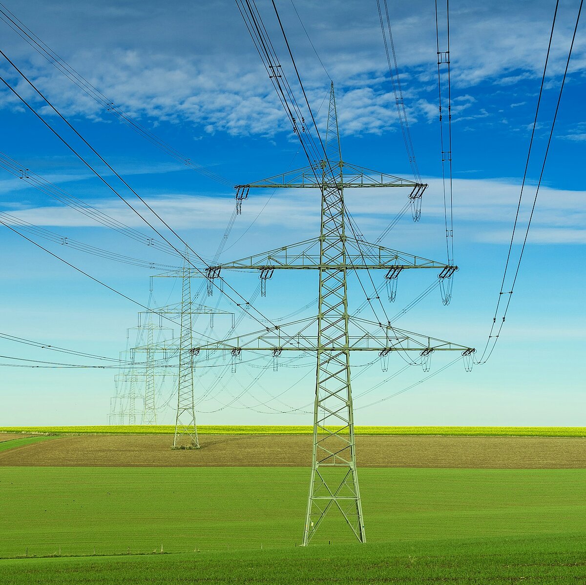 Electricity pylons in a field under a blue sky