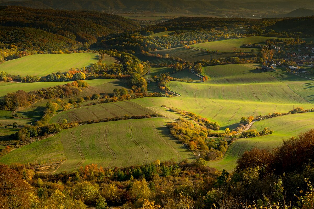 Aerial view of fields and forests near Meinhard-Hitzelrode in Thuringia.